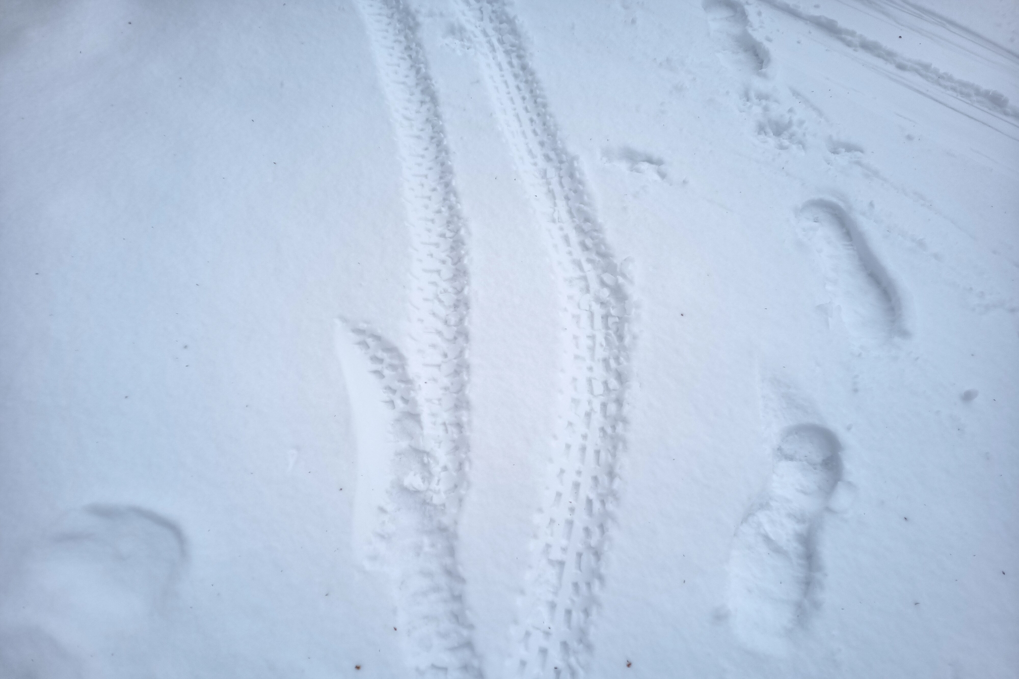 羊蹄山 2022-03-19