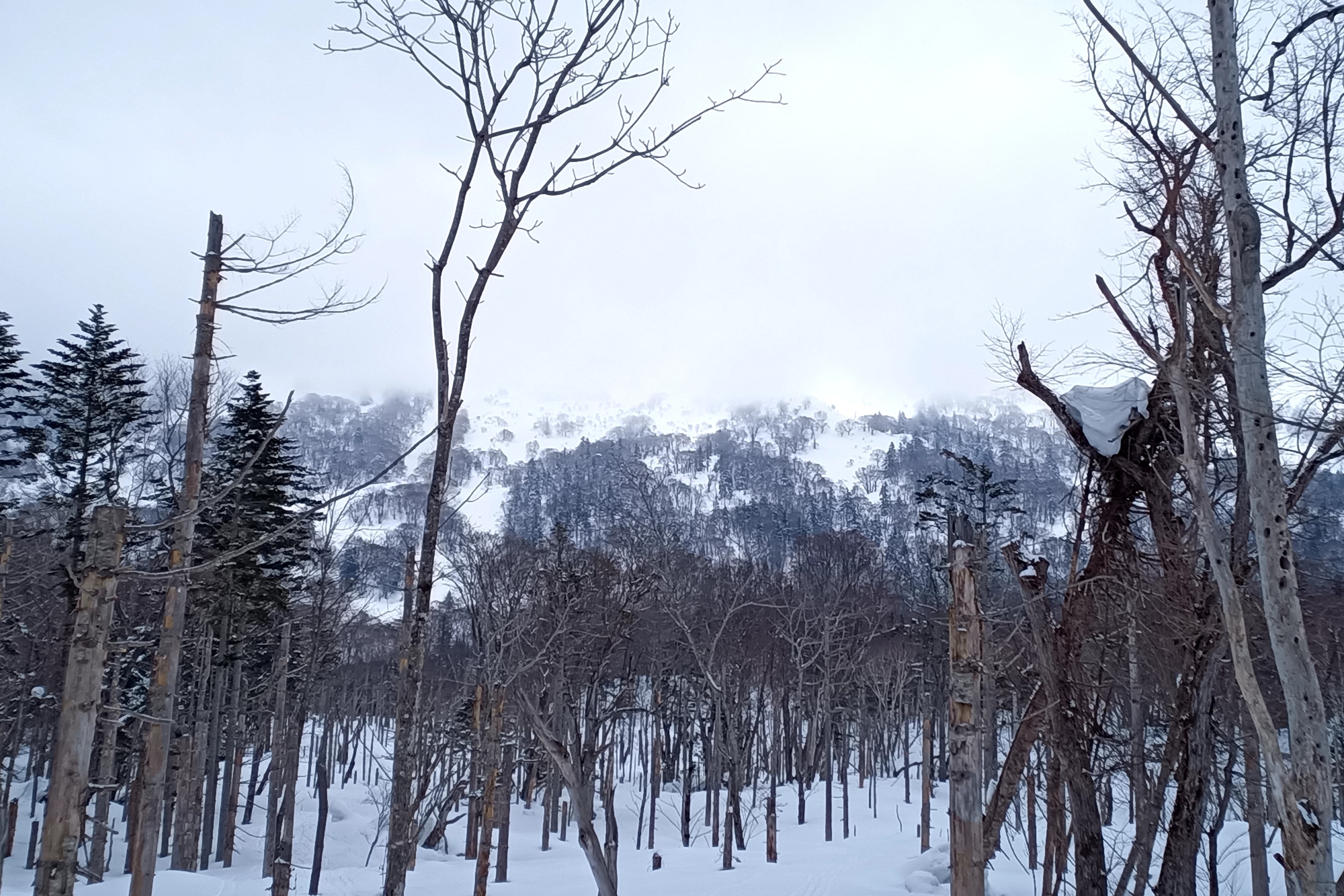 羊蹄山 2022-03-19