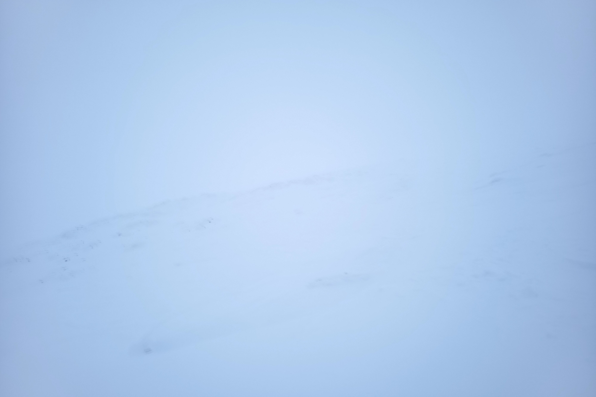 美瑛岳 2022-04-02