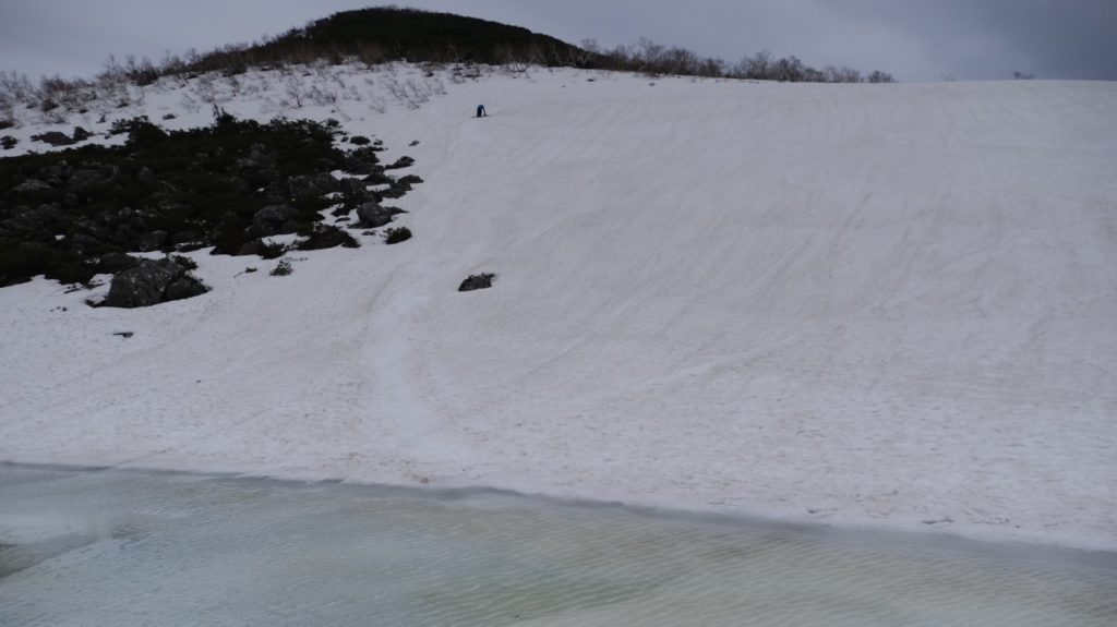 シャクナゲ岳 2022-05-07