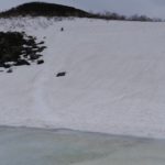 シャクナゲ岳 2022-05-07