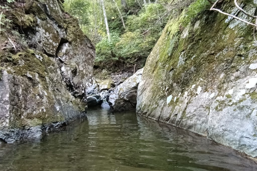 オロエン川 2022-09-18