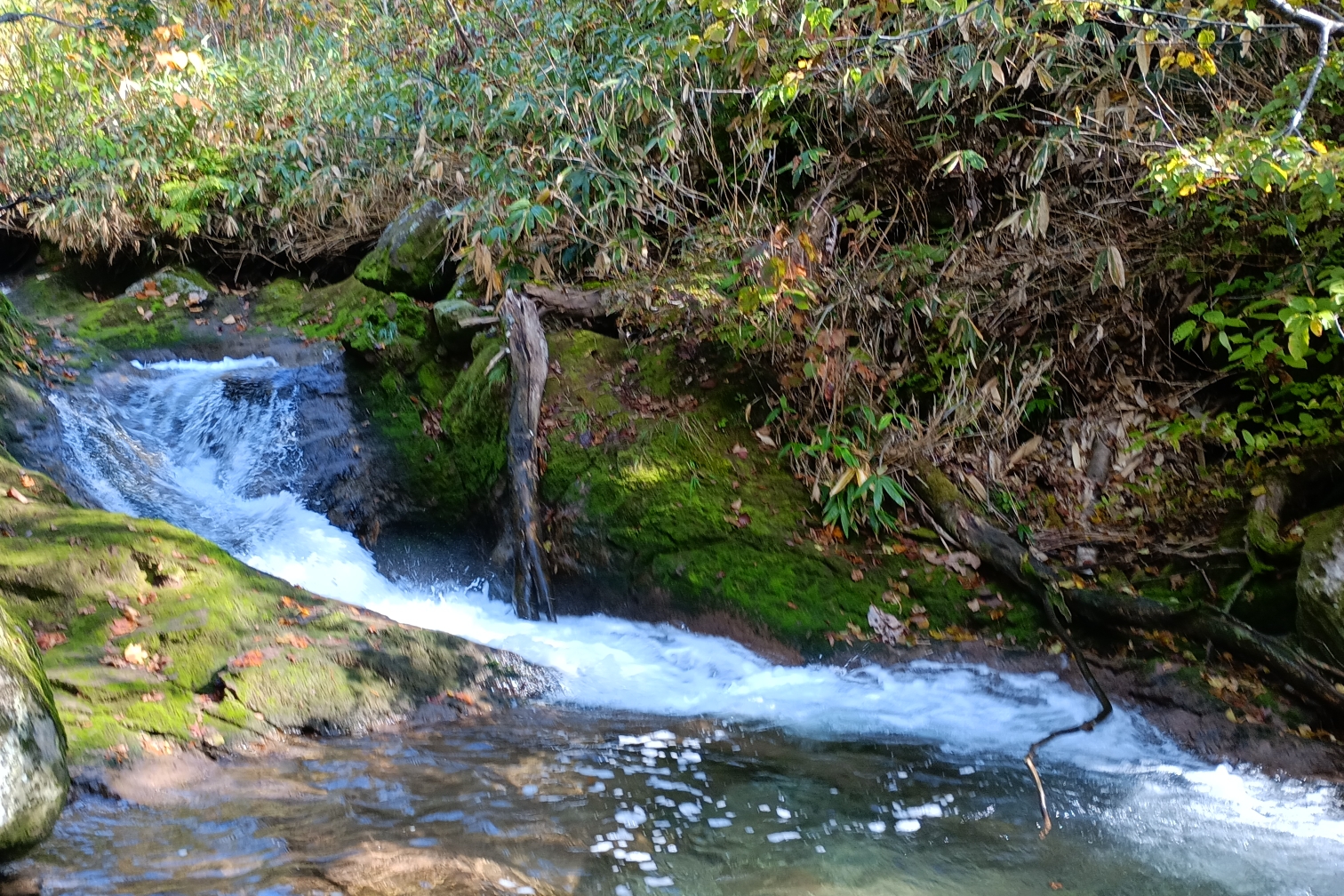 アンベツ川 2022-10-01