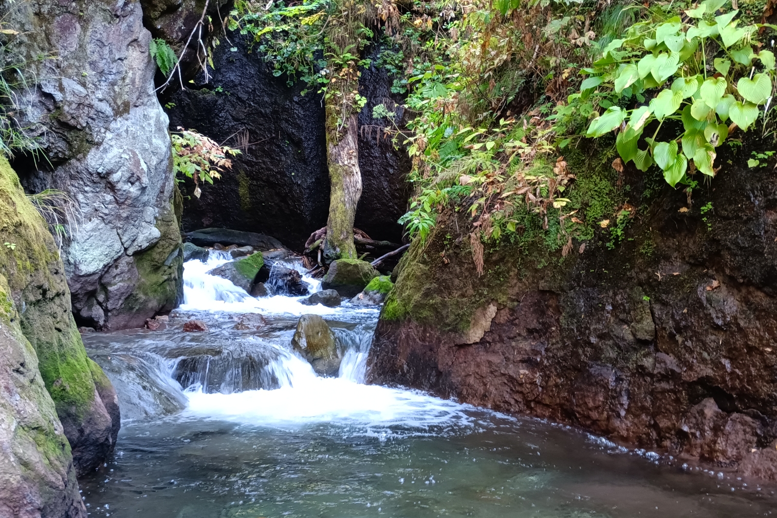 アンベツ川 2022-10-01