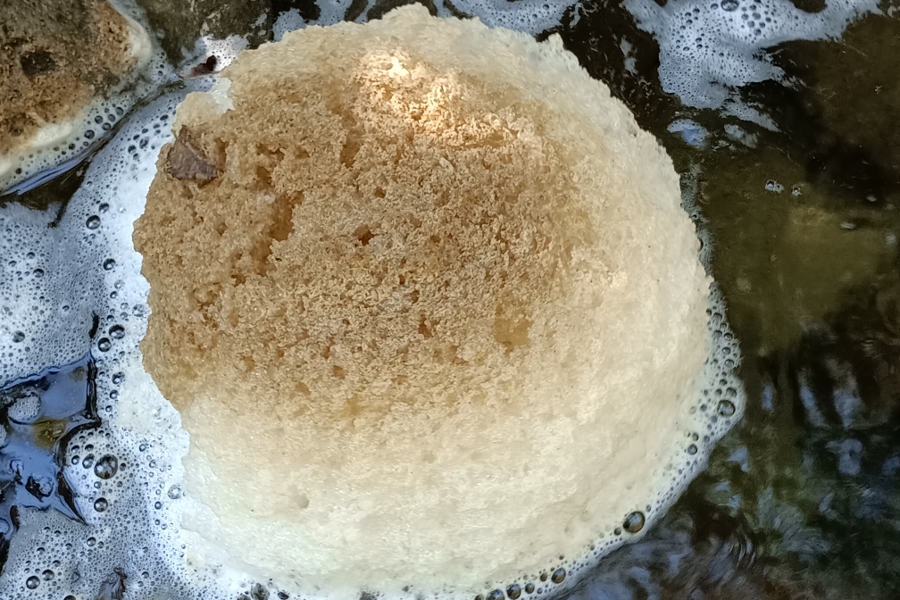 アンベツ川 2022-10-01