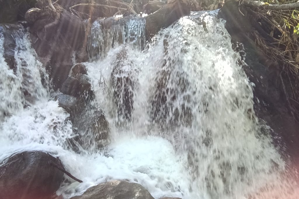 アンベツ川 2022-10-01