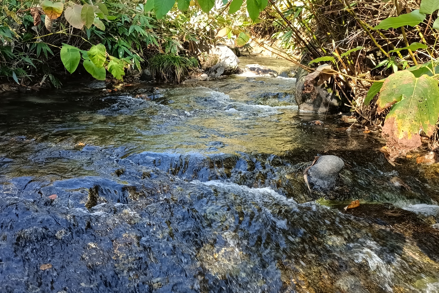 アンベツ川 2022-10-01