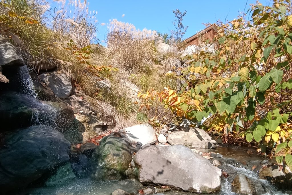 アンベツ川 2022-10-01