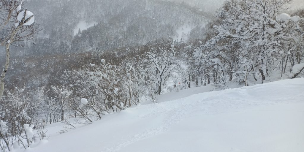 長伯稜 2022-01-07