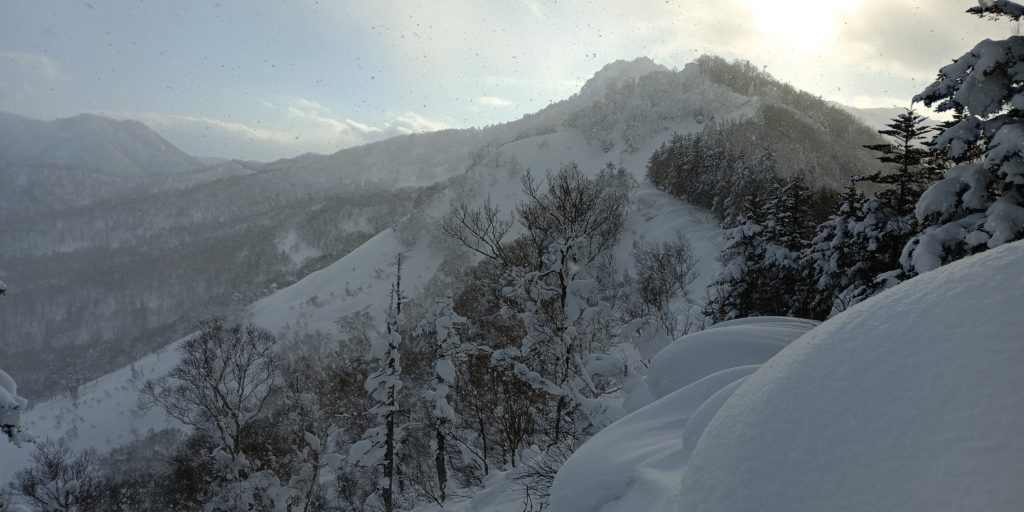 長伯稜 2022-01-07