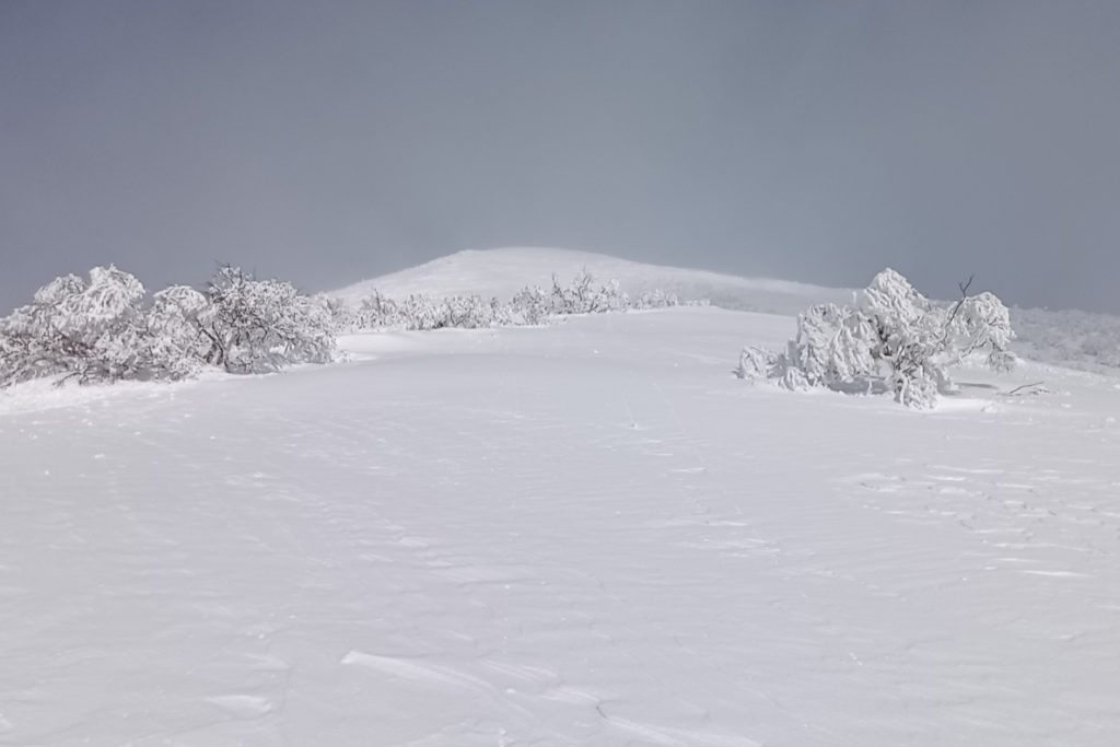 チセヌプリ 2022-12-27