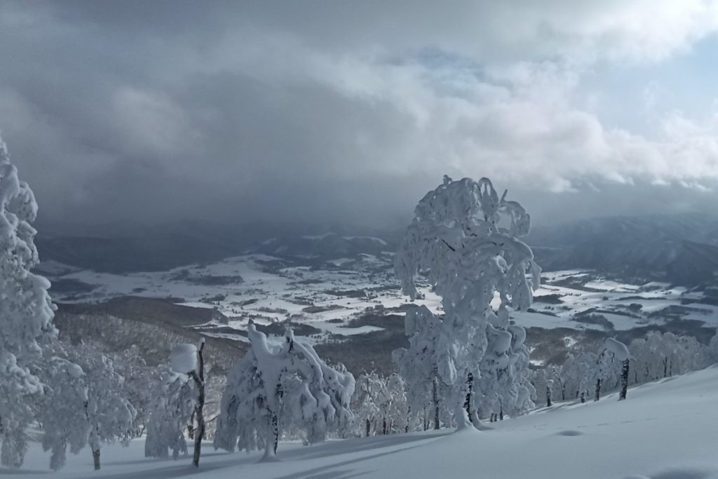 大黒山 2022-12-31