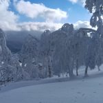 大黒山 2022-12-31